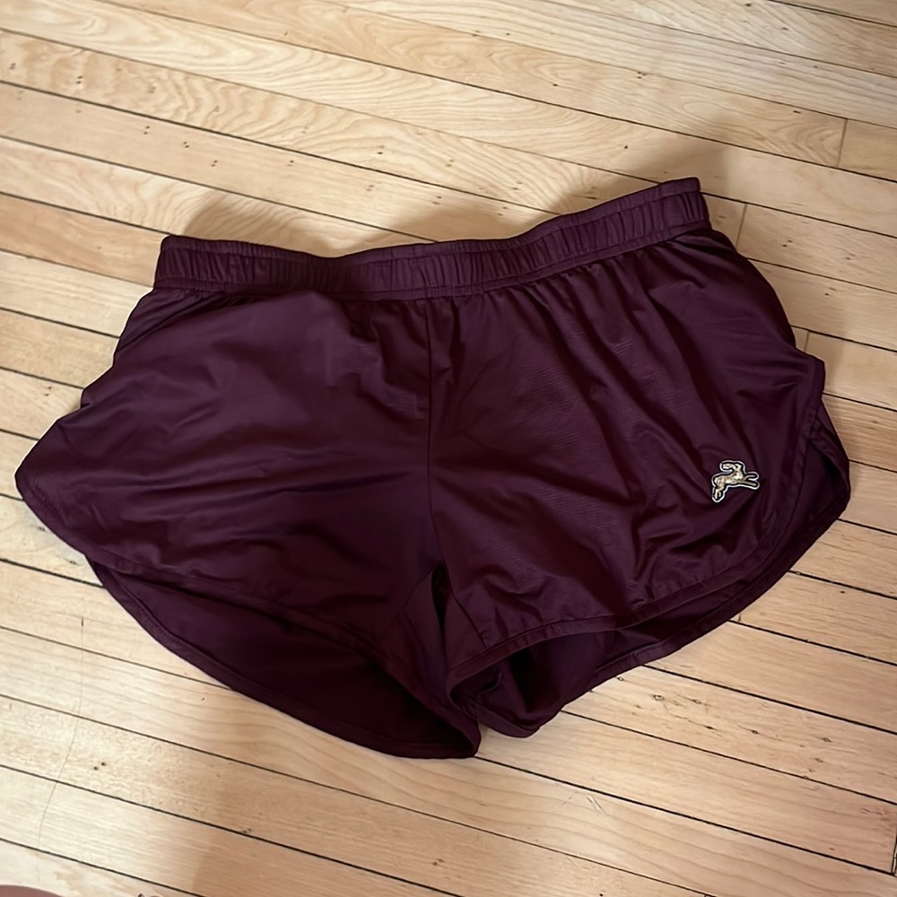 Tracksmith Shorts.